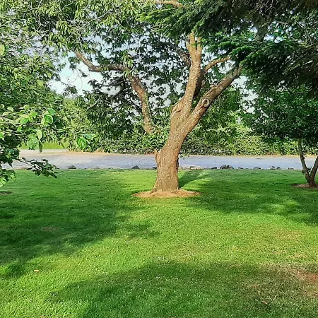 Alluring Holiday In Syddanmark With Terrace Svendborg