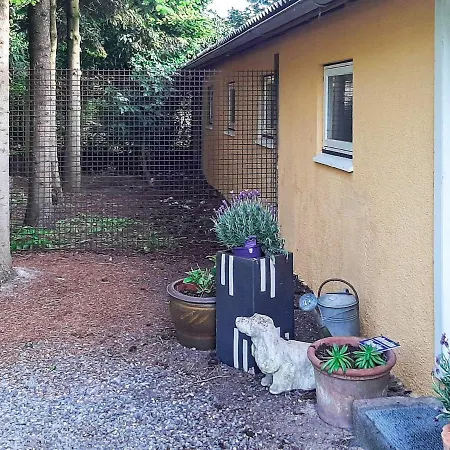 Tatil Evi Alluring Holiday In Syddanmark With Terrace Svendborg